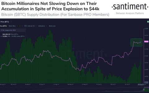 比特币超过 4.5 万美元：狗狗币飙升 25%（周末观察）