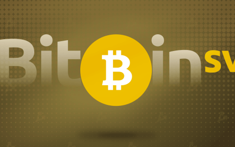 美国法院禁止移动假比特币 SV