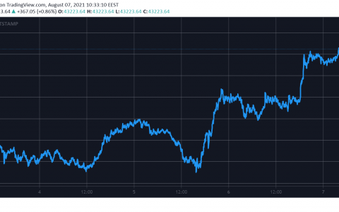 随着比特币触及 44,000 美元，加密货币市值创下 2 个月的记录（市场观察）