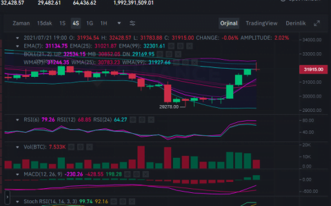 超过临界水平，山寨币上涨 比特币 (BTC) 是否为大反弹做准备？
