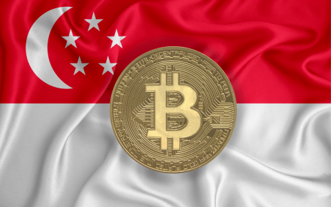 在新加坡，35% 的公民拥有比特币