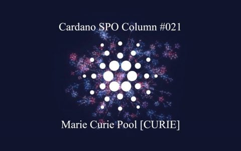 卡尔达诺 SPO 专栏：居里夫人矿池 [CURIE]