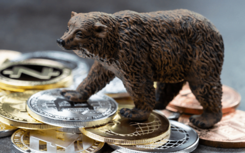 什么是加密货币熊市意思？