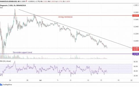 狗狗币 (DOGE) 走向长期支持