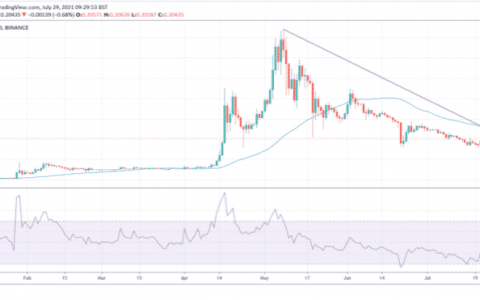 Ripple 董事长 Chris Larsen 警告所有 DOGE 持有者