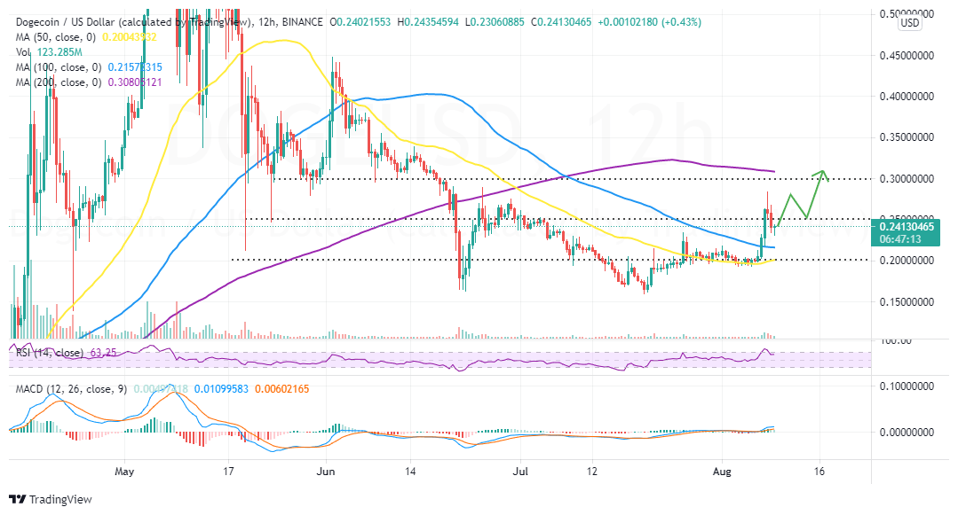DOGE/USD 价格K线走势图 