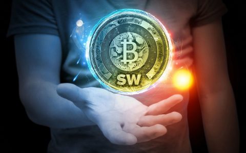 我如何声明和销售 Segwit2X (B2X)？