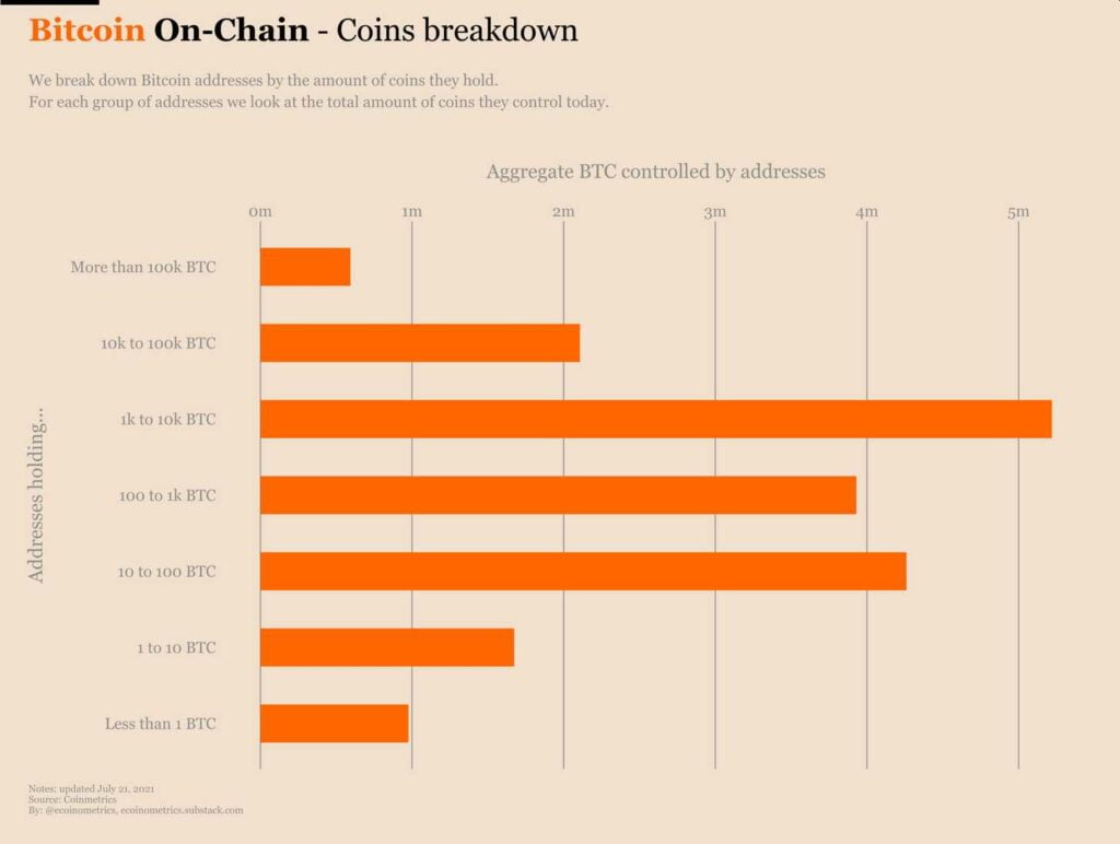 从小鱼到鲸鱼：每个人都增持了更多的比特币
