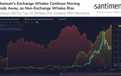 10 大以太坊交易商持有 480 亿美元的 ETH 打破5年来的最高纪录