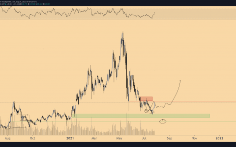 6 种加密货币可能很快上涨 50%