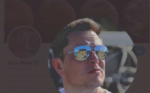 最后一分钟狗狗币投资者的好消息 埃隆马斯克宣布狗狗币（DOGE）