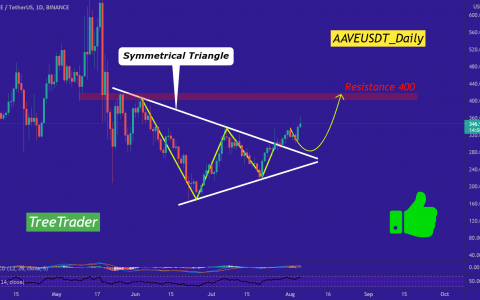 AAVE 有足够的看涨潜力再次达到 新高。 [价格分析]