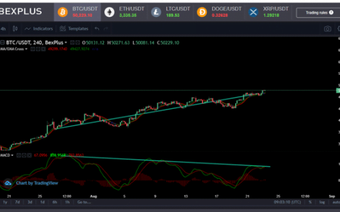 如果比特币未能尽快突破51100美元，将迎来大跌