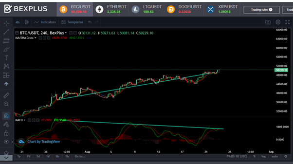 比特币价格和交易量K线走势图。