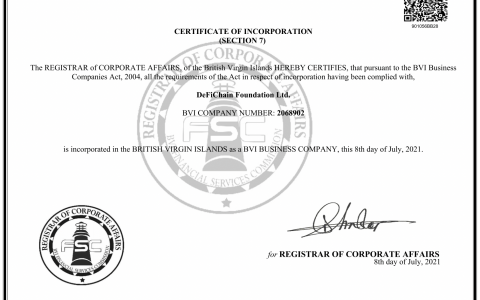 递飞链 DeFiChain 成功转换为 DAO 去中心化自治组织