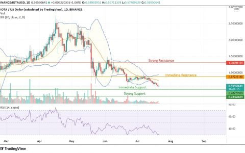 IOTA 会反弹还是继续在 0.50 美元以下交易？