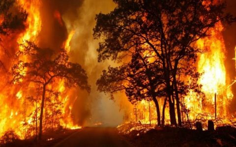 NFT：加密货币艺术支持撒丁岛。 参与的艺术家中有被黑atao、Marras 和 Motta