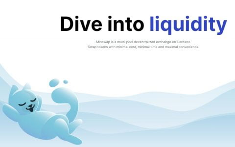 对卡尔达诺 DEX Minswap 的采访