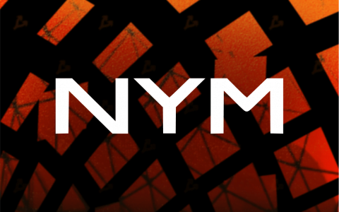 维基解密线人审核 Nym mixnet 安全