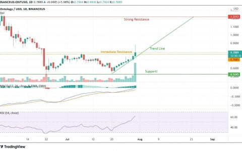 本体可以在一个月内提供超过 50% 的回报吗？