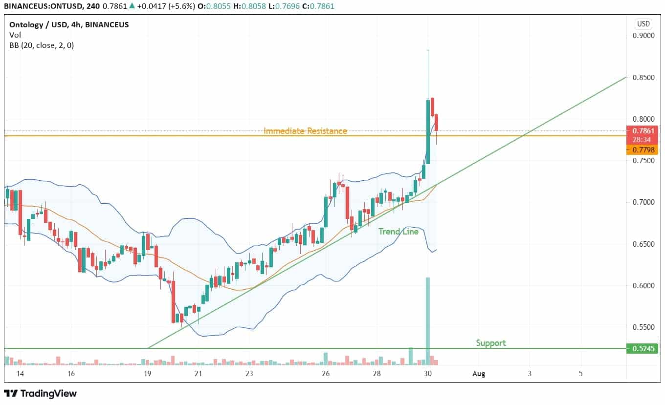 本体价格分析图