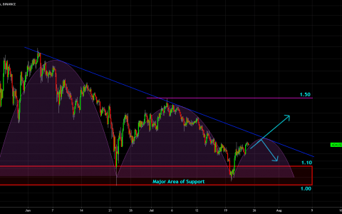 🔥 ADA 看涨：短期展望 [价格分析]