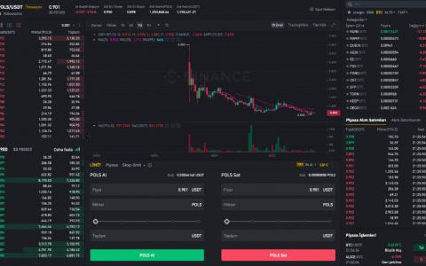 如何获得 Polkastarter 币？