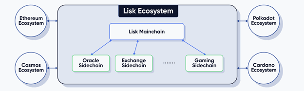 认识新的 Lisk 主网