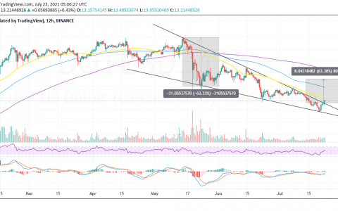 比特币 (BTC) 和 Polkadot (DOT) 价格分析 预计增长超过 100%