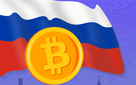 在俄罗斯联邦，确定了跟踪比特币交易服务的开发商