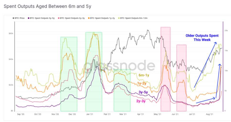 尽管出现修正，比特币价格仍将继续上涨：Glassnode