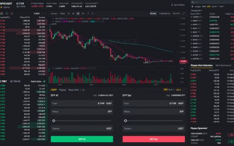 如何获得 SafePal 币？