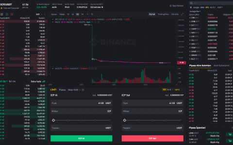 如何获得互联网电脑币？