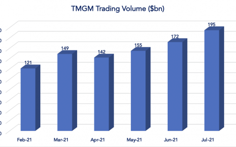 TMGM 7 月交易额达 1,950 亿美元，打破纪录