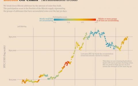 投资者增持更多比特币并加强其价格结构