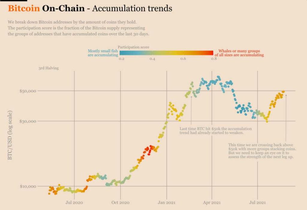 投资者增持更多比特币并加强其价格结构