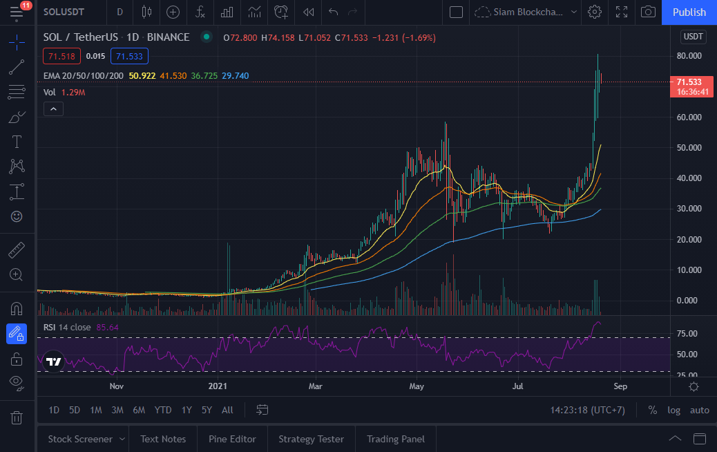 下周你应该真正关注的 3 种加密货币