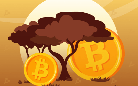 卫报：缺乏对比特币的控制吓坏了尼日利亚当局