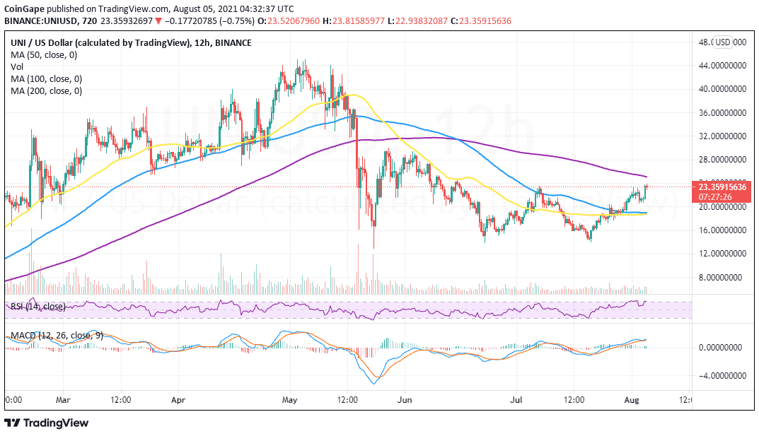 UNI/USD 价格走势图 