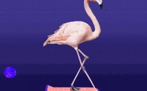 3 分钟读懂融合 NFT 与 DAO 的新平台 Flamingo