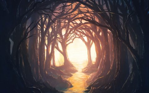 这次我们杀出了以太坊 DeFi 黑暗森林，完美拯救 960 万美元