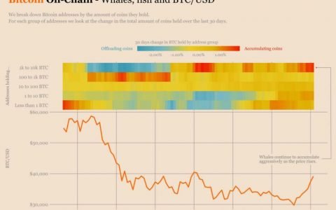 从小鱼到鲸鱼：每个人都增持了更多的比特币