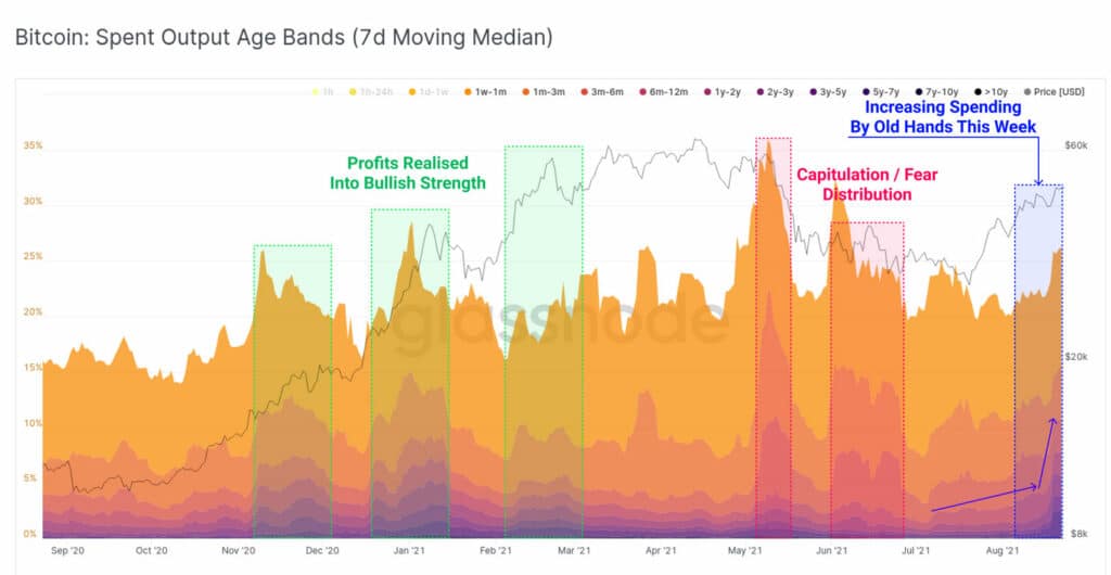 尽管出现修正，比特币价格仍将继续上涨：Glassnode