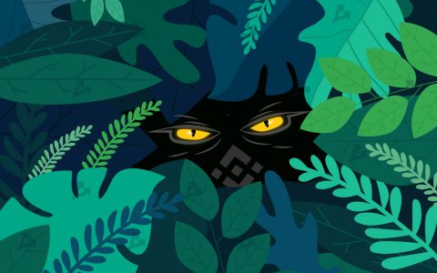 法院命令币安找到用户被盗的加密货币