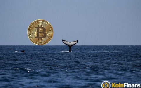 移动中的比特币鲸鱼 – 市场如何变动？