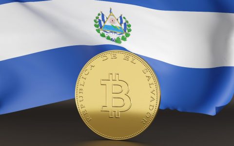 萨尔瓦多，反比特币抗议