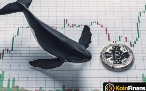 随着比特币价格上涨，比特币鲸鱼将遵循什么路径？