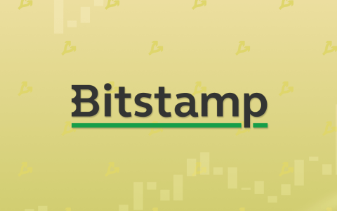 媒体：Bitstamp 创始人起诉新的交易所所有者