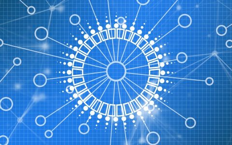 Wyre 宣布与 Polygon 合作，将 USDC 代币推向数百万人