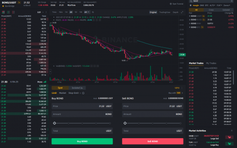 什么是巴恩布里奇币？